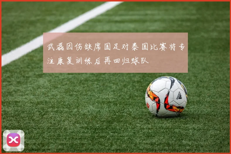 武磊因伤缺席国足对泰国比赛将专注康复训练后再回归球队